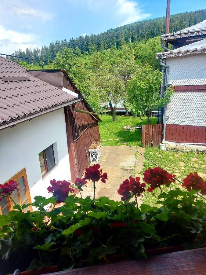 Pensiunea Boca Voronet Buitenkant foto