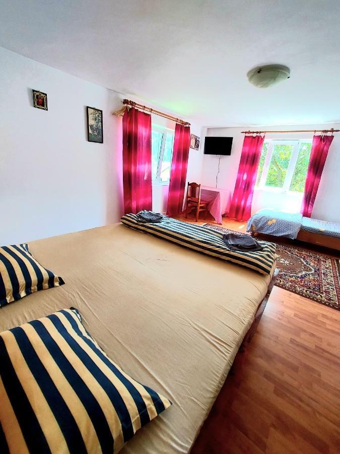Pensiunea Boca Voronet Buitenkant foto